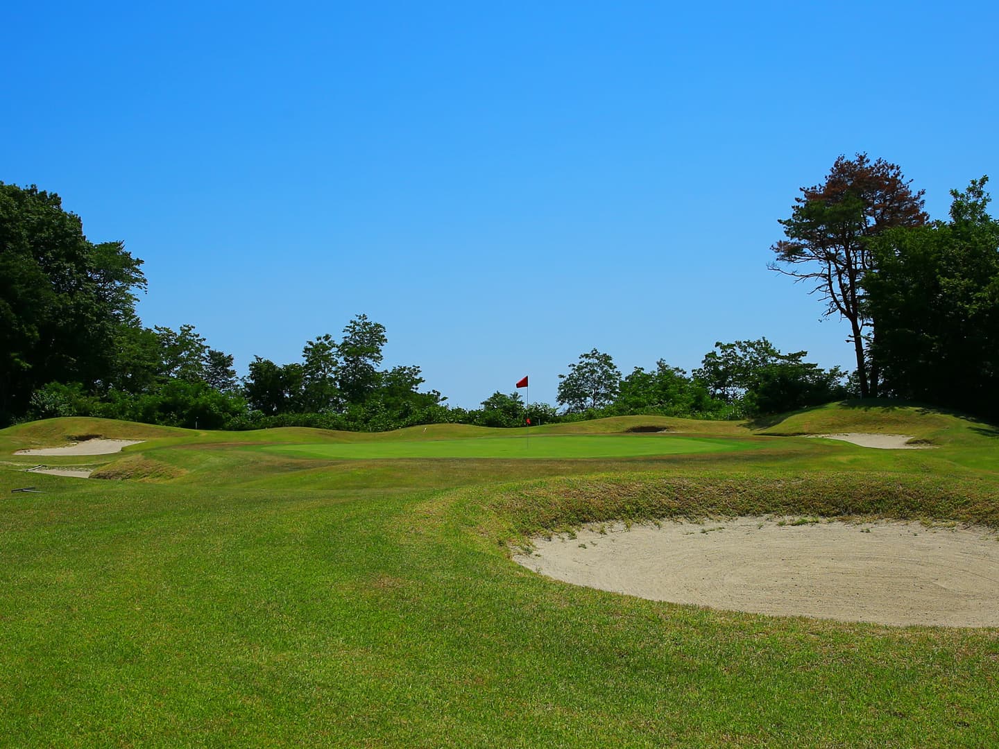 Hole11 グリーン付近