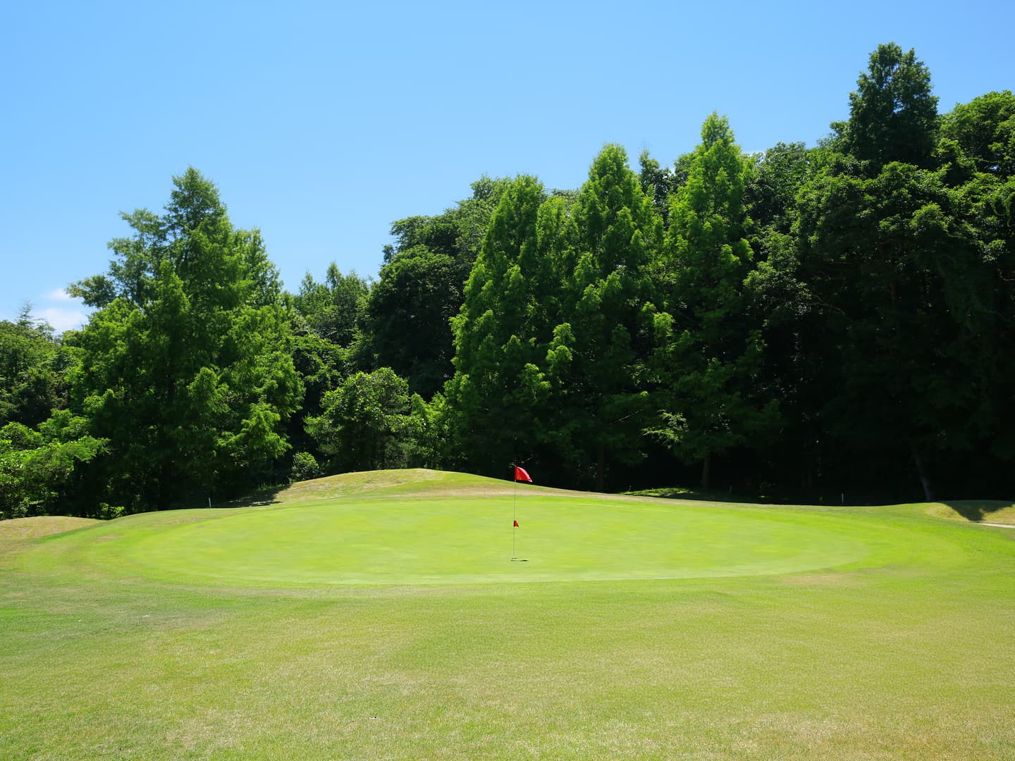 Hole12 グリーン付近