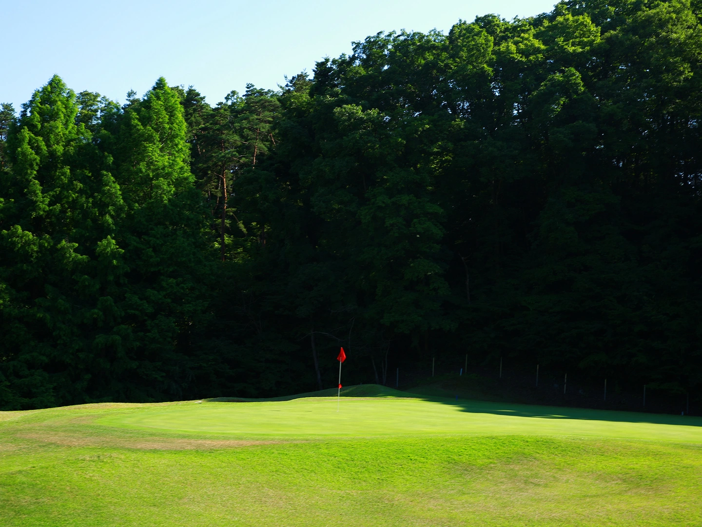 グリーン付近