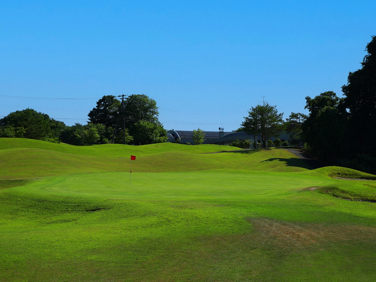 グリーン付近